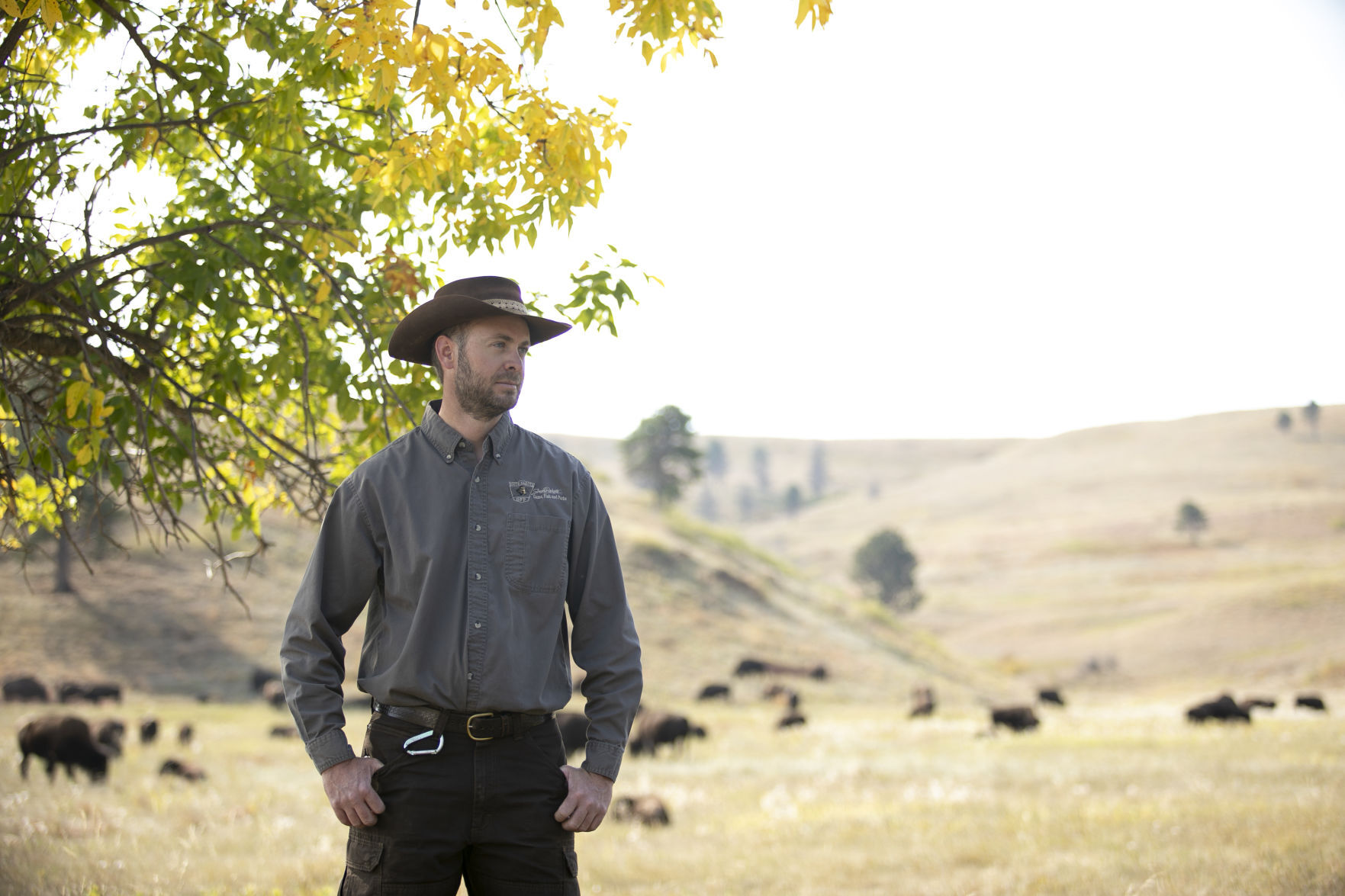 Buffalo Roundup Preview